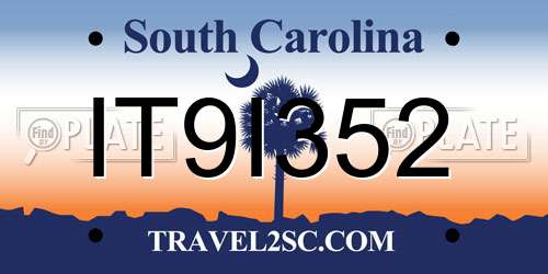 IT9I352 South Carolina License Plate