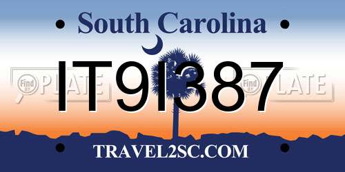 IT9I387 South Carolina License Plate