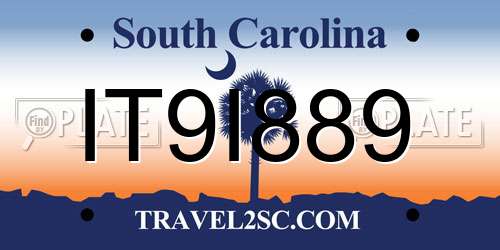 IT9I889 South Carolina License Plate