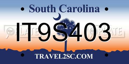IT9S403 South Carolina License Plate