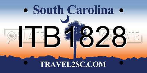 ITB1828 South Carolina License Plate