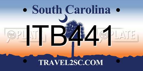 ITB441 South Carolina License Plate