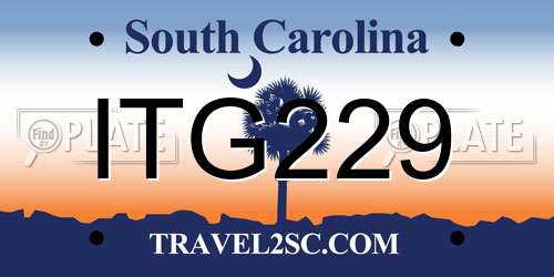 ITG229 South Carolina License Plate