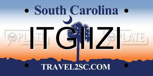ITGIIZI South Carolina License Plate