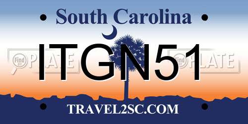ITGN51 South Carolina License Plate