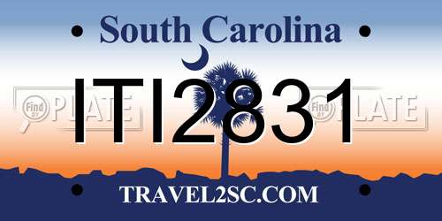 ITI2831 South Carolina License Plate