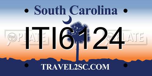 ITI6124 South Carolina License Plate