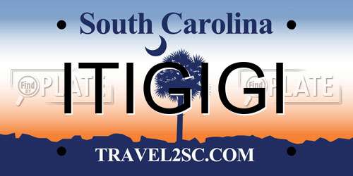 ITIGIGI South Carolina License Plate