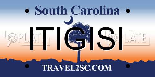 ITIGISI South Carolina License Plate