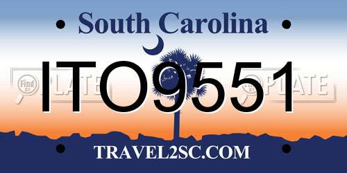 ITO9551 South Carolina License Plate