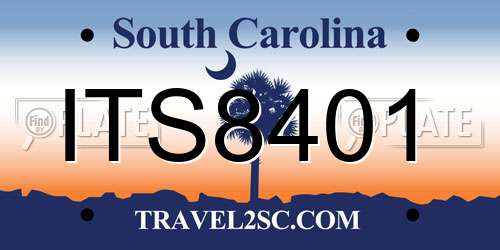 ITS8401 South Carolina License Plate