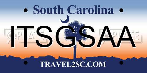 ITSGSAA South Carolina License Plate