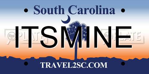 ITSMINE South Carolina License Plate