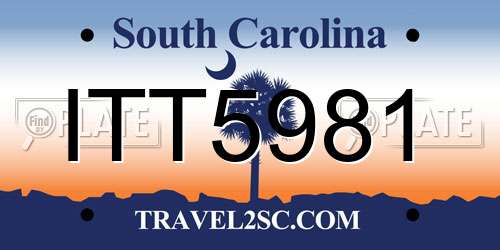 ITT5981 South Carolina License Plate