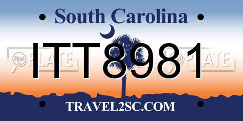 ITT8981 South Carolina License Plate
