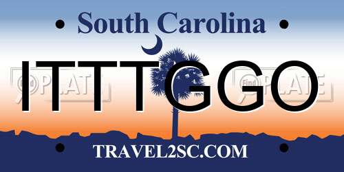 ITTTGGO South Carolina License Plate