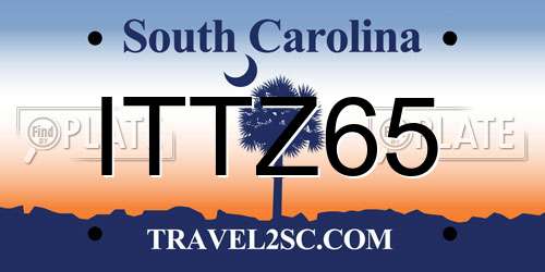 ITTZ65 South Carolina License Plate