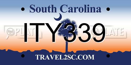 ITY339 South Carolina License Plate