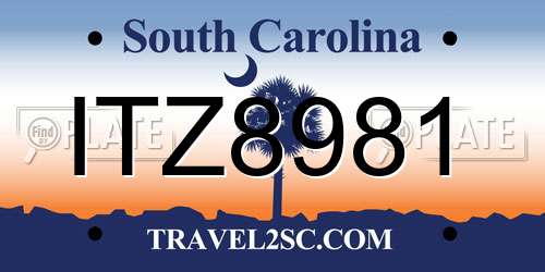 ITZ8981 South Carolina License Plate