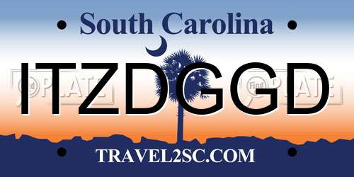ITZDGGD South Carolina License Plate