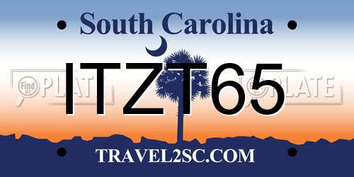 ITZT65 South Carolina License Plate