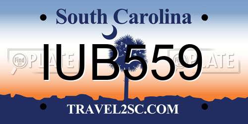 IUB559 South Carolina License Plate