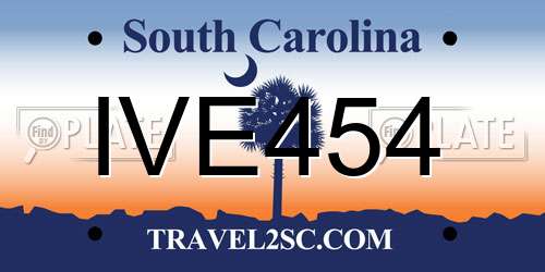 IVE454 South Carolina License Plate