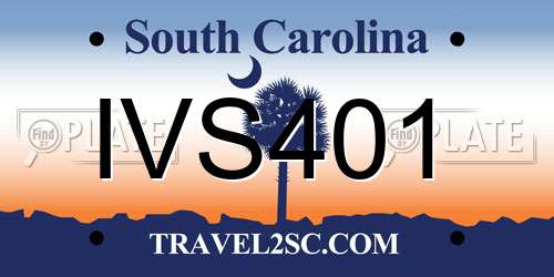 IVS401 South Carolina License Plate