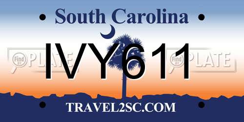 IVY611 South Carolina License Plate