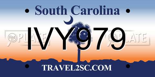IVY979 South Carolina License Plate