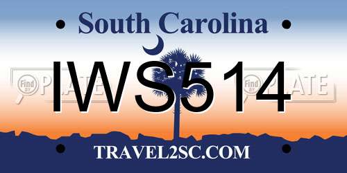 IWS514 South Carolina License Plate