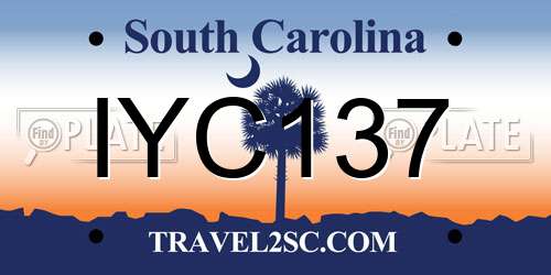 IYC137 South Carolina License Plate