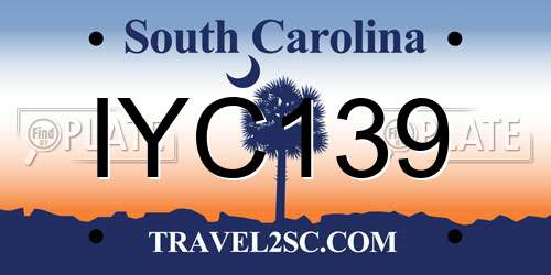 IYC139 South Carolina License Plate