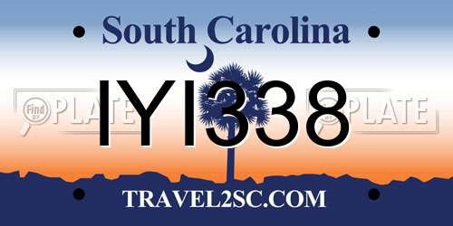 IYI338 South Carolina License Plate