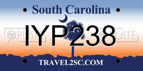 IYP238 South Carolina License Plate