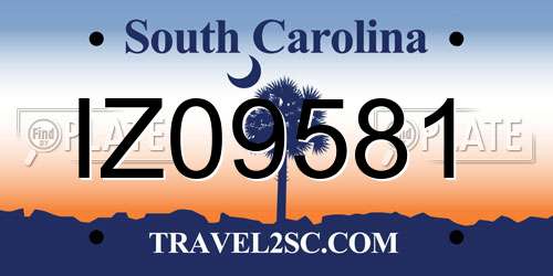 IZ09581 South Carolina License Plate
