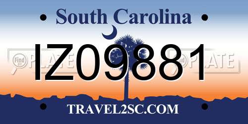 IZ09881 South Carolina License Plate