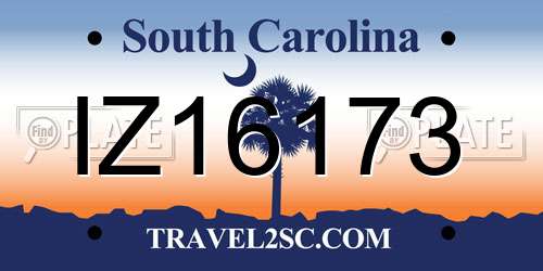 IZ16173 South Carolina License Plate
