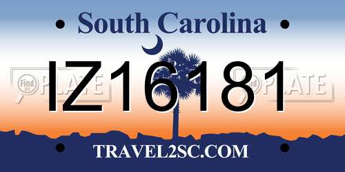 IZ16181 South Carolina License Plate
