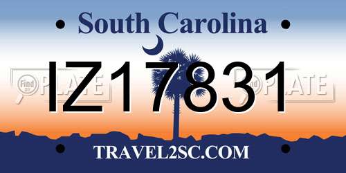 IZ17831 South Carolina License Plate