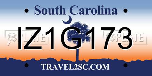 IZ1G173 South Carolina License Plate