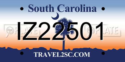 IZ22501 South Carolina License Plate