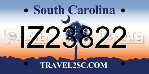 IZ23822 South Carolina License Plate