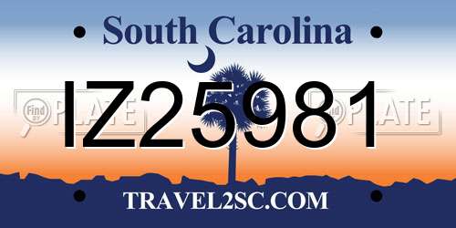 IZ25981 South Carolina License Plate