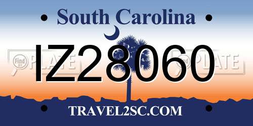 IZ28060 South Carolina License Plate
