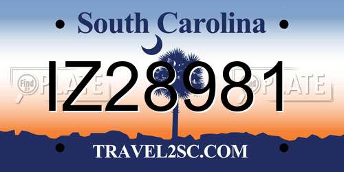 IZ28981 South Carolina License Plate