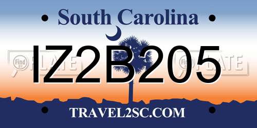 IZ2B205 South Carolina License Plate