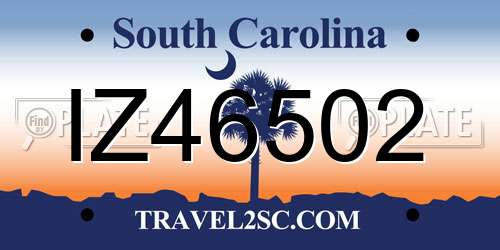IZ46502 South Carolina License Plate