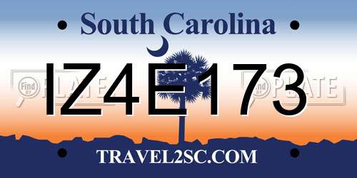 IZ4E173 South Carolina License Plate