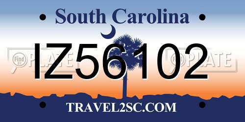 IZ56102 South Carolina License Plate